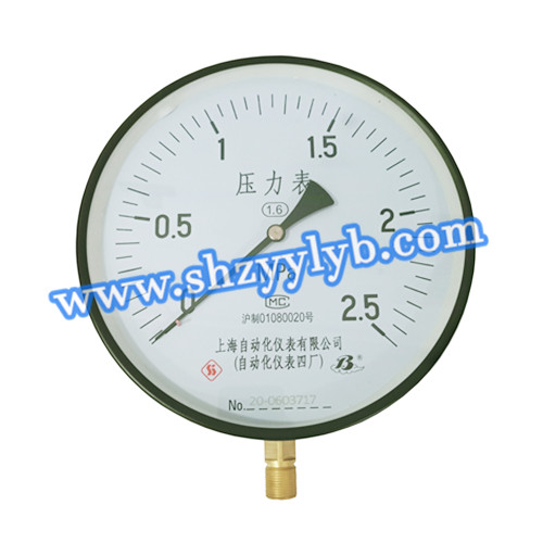 Y-200-2.5MPa.jpg