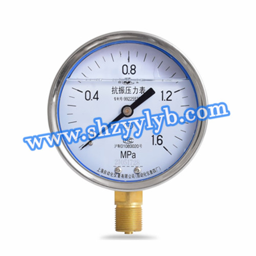 Y-100A-16MPa.jpg